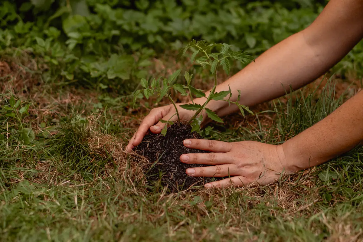 Aligned Goals - thumbnail