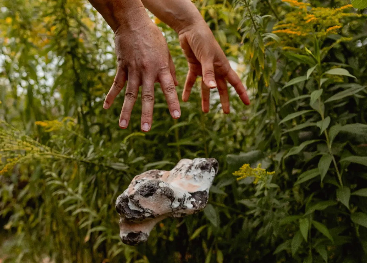 Mental decluttering and simplicity