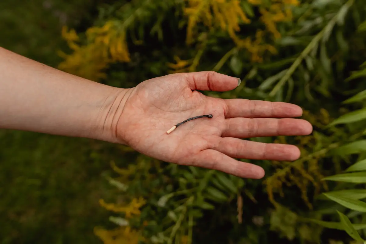 Burnout recovery and emotional exhaustion